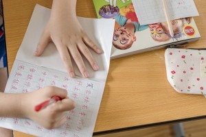 新高三备考就选学大教育 一对一辅导效率高