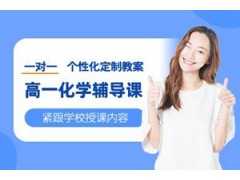 郑州高一化学一对一规划