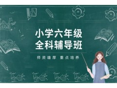郑州小学六年级一对一规划