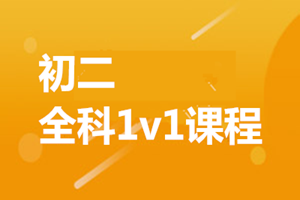 郑州初二一对一课程