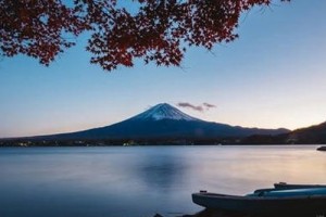 一分钟速览 樱花国际日语学校怎么样？
