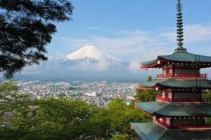 樱花国际教你在职场中救命金句!