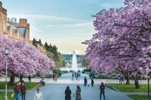 学习日语不要错过苏州樱花国际日语