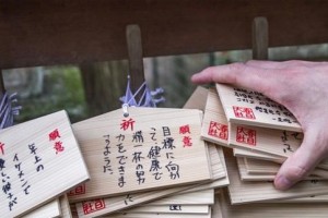 想学日语去哪里？樱花日语怎么样？
