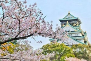 想要系统学习日语 苏州樱花助力学员发展
