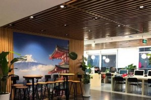 想要东京游学？来苏州樱花国际日语培训