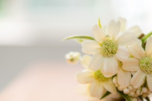 @西安家长 学大老师免费帮你带娃上自习