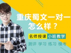 重庆蜀文教育一对一课程怎么样？