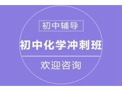 广州初中化学冲刺课程