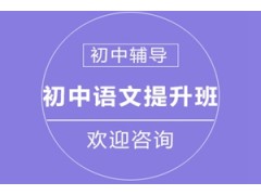 南京初中语文提升班