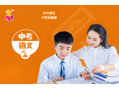 南京中考语文一对一辅导课程