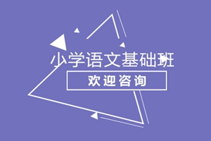 上海小学语文基础班