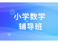 杭州小学数学一对一辅导班