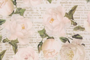 认真书写教案上每个字 她是新东方优能老师