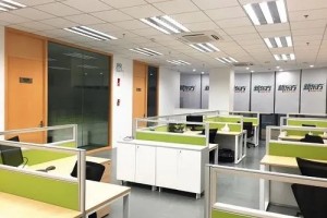 金色雨林专注力训练有效果吗？速来围观！