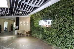 金色雨林感统课有用吗？速来围观！
