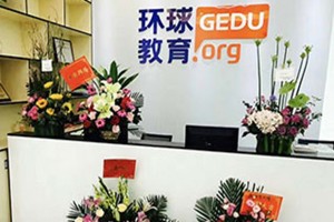 保定托福培训哪家好?环球教育榜上有名