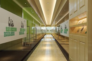 讲座优惠 来洛阳环球英语让你嗨到停不下来