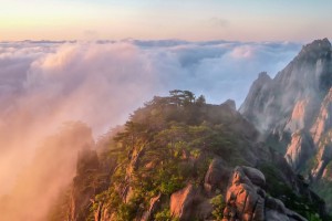 天津高三全日制辅导机构（排名）【避雷推荐】(高三补习辅导如何选择教育培训机构)