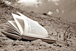 海文考研培训班2025价格表 速览!