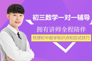 太仓初三数学一对一辅导班