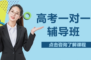 太仓高考一对一辅导