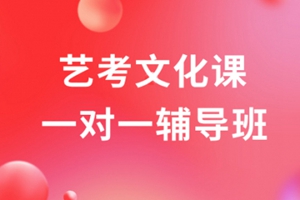 太仓艺考文化课一对一辅导班
