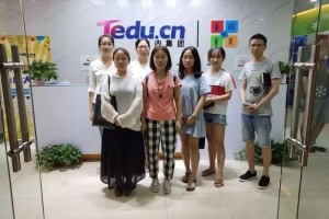 IT行业发展前景光明 快到达内教育试试吧