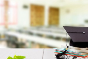 石家庄学大怎么样？艺考文化课靠谱吗？