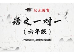武汉六年级语文1对1辅导