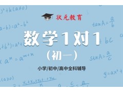 武汉初一数学1对1辅导