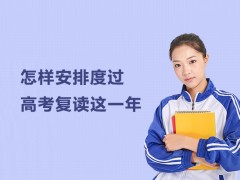 合肥怎样安排度过高考复读这一年？