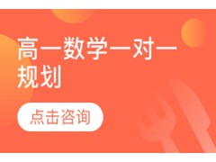 济南高一数学一对一规划