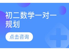 济南初二数学一对一规划