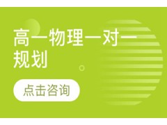 济南高一物理一对一规划