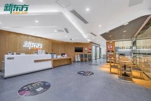 杭州新东方雅思培训怎么样？值得选择吗