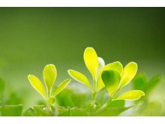 长沙零基础考生如何备考二级建造师