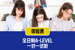 上海全日制A-Level一对一培训班
