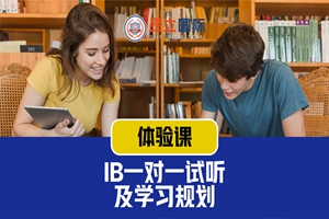 上海IB一对一培训班