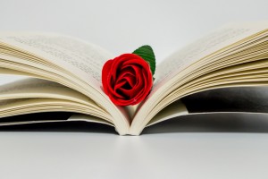 广州学大教育哪个校区好 4大校区任你选