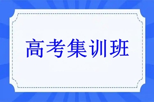 天津高考集训班