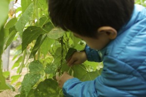 上海学大教育分享高一生国庆自救攻略