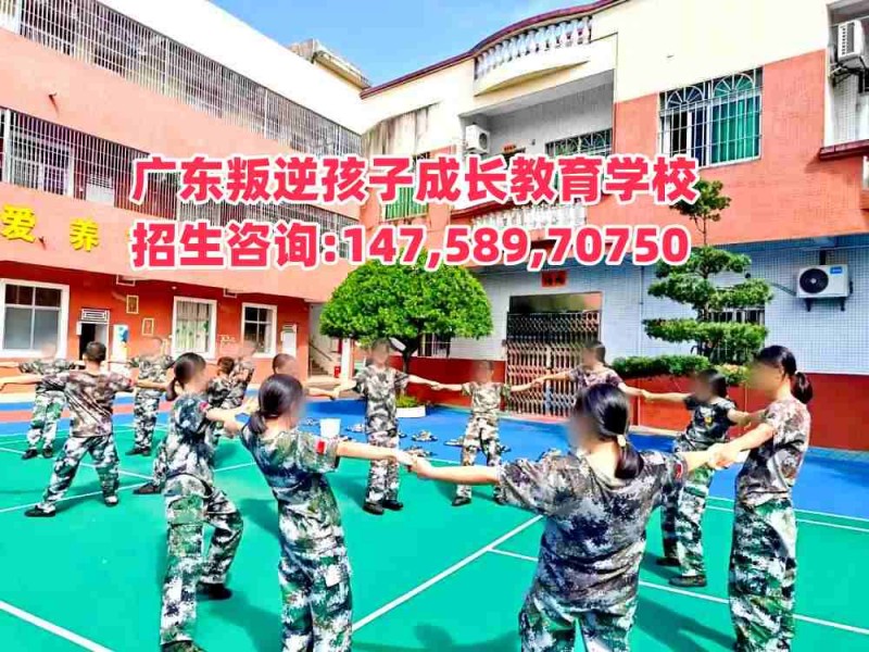 广东成长教育学校招生电话14758970750
