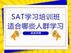 广州SAT学习培训班适合哪些人群学习？
