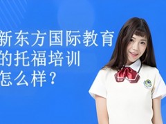 广州新东方国际教育的托福培训怎么样？