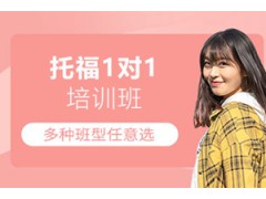 中山托福1对1培训班