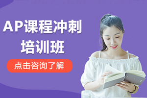 中山AP课程冲刺班