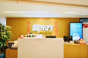 中山新东方国际教育