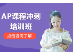 惠州AP课程冲刺班