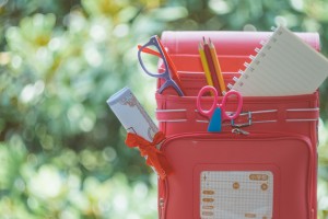 心愿与时代同行 北京学大作文思路解读